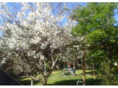 Photo1