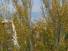 Vue sur mer