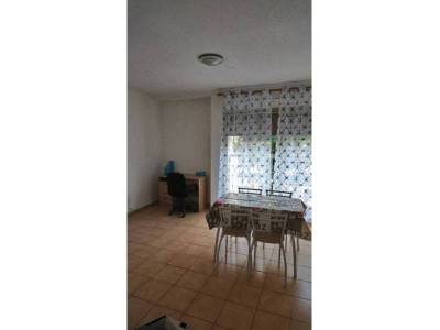 photo1