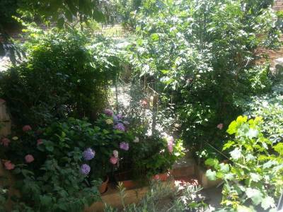 20130712_132205