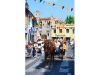 Les Olives - Fête à Château Gombert