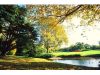 Mazargues - Parc de la Maison Blanche