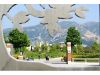 Saint-Loup - Arbre de l'Espérance (Vue 2)