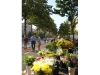 Sainte-Anne - Marché