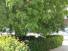 20190507_111635