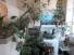 loggia