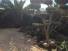 Photo1