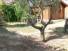 Jardin 3