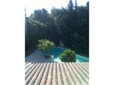 photo (8)