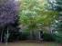 Jardin 2